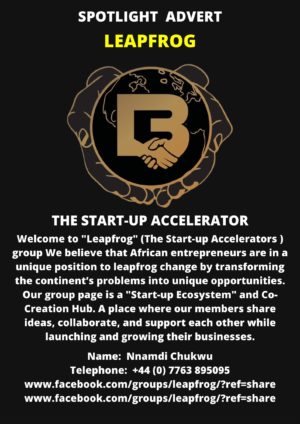 Leapfrog - entrepreneurship