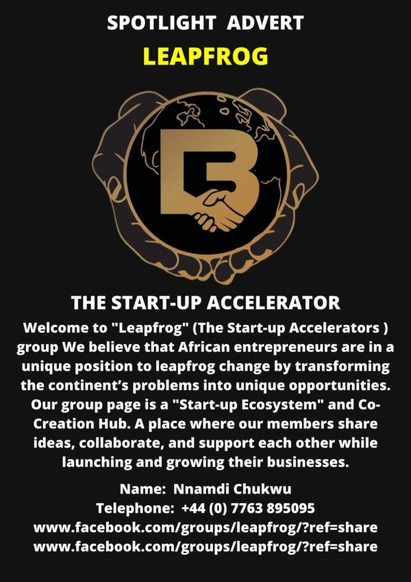 Leapfrog - entrepreneurship